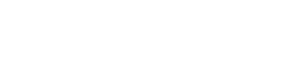 Flexi Leasing Logo